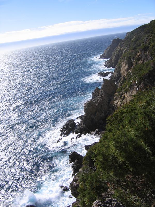 Porquerolles : vue des falaises