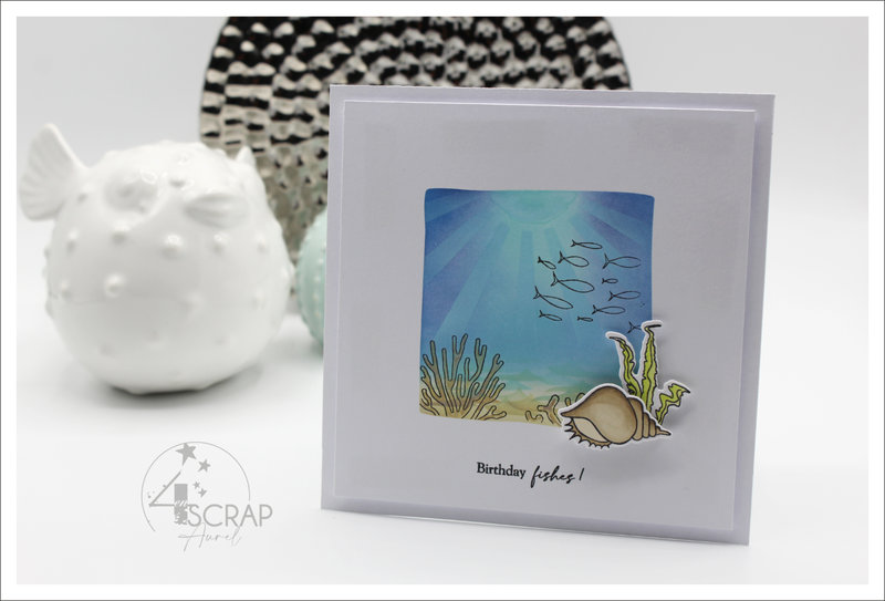 120522 - Cartes Fonds marins - AP E22 - J3 #3