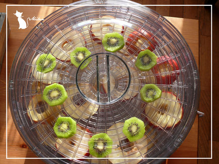 Pommes séchées recettes legumes recettes dessert Pommes séchées