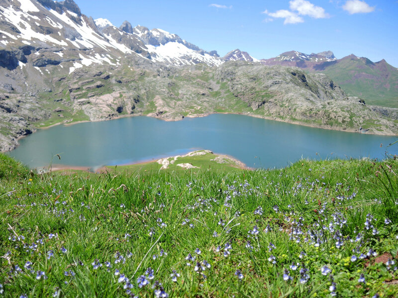 H) Lac d'Estaens, vue depuis sommet Est, lac et fleurs (Espagne)