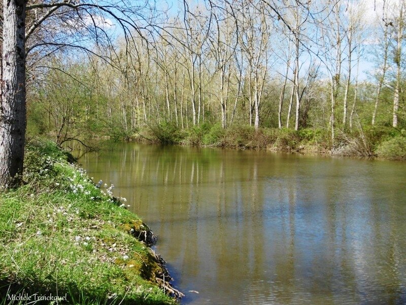 1-Etangs de la Marnière, de Vicq d'Auribat, de St Jean de Lier 280317