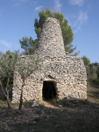 sortie_garrigues_basses_26_sept_2009_025