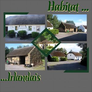 Habitat_Irlandais