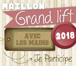 Avec-Les-Mains-macaron-Grand-lift-2018