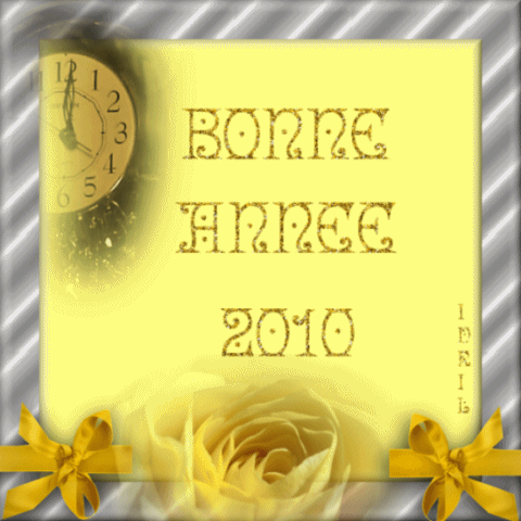 bonne_annee_2010_IDRIL_2