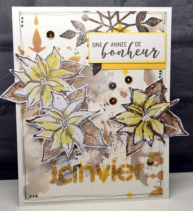 sophie scrap anise