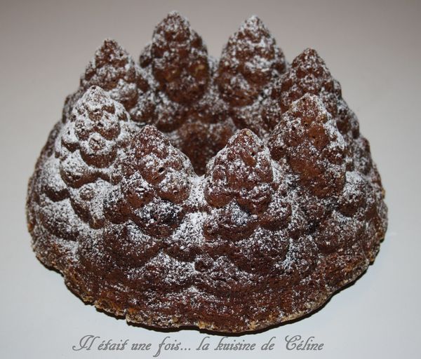 il_etait_une_fois_la_kuisine_de_celine_gateau_chocolaitfermente3