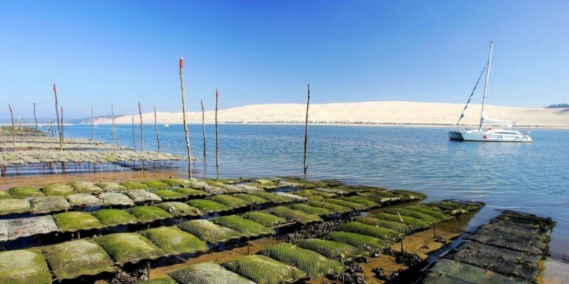 la dune depuis le banc d'arguin