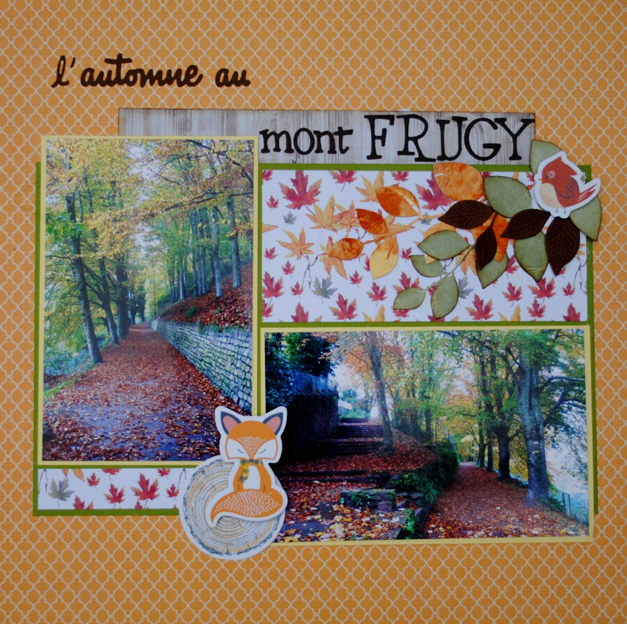 l'automne au Mont Frugy