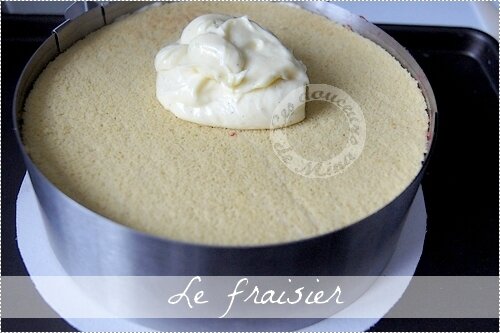 Fraisier0019