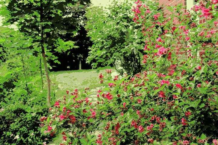 Mon jardin, cet été