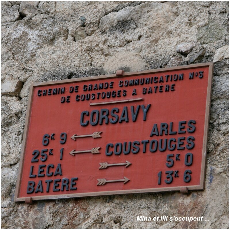 2013 11 Corsavy1