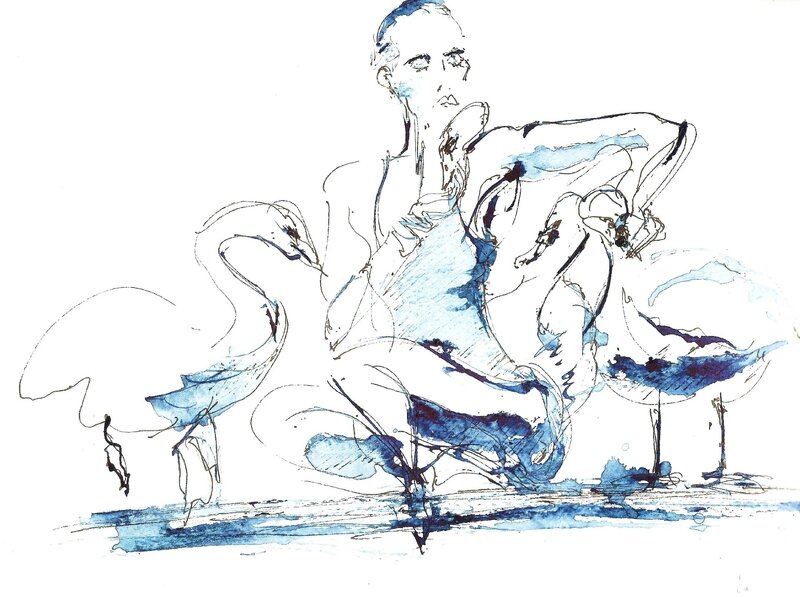 danseuse & cygnes