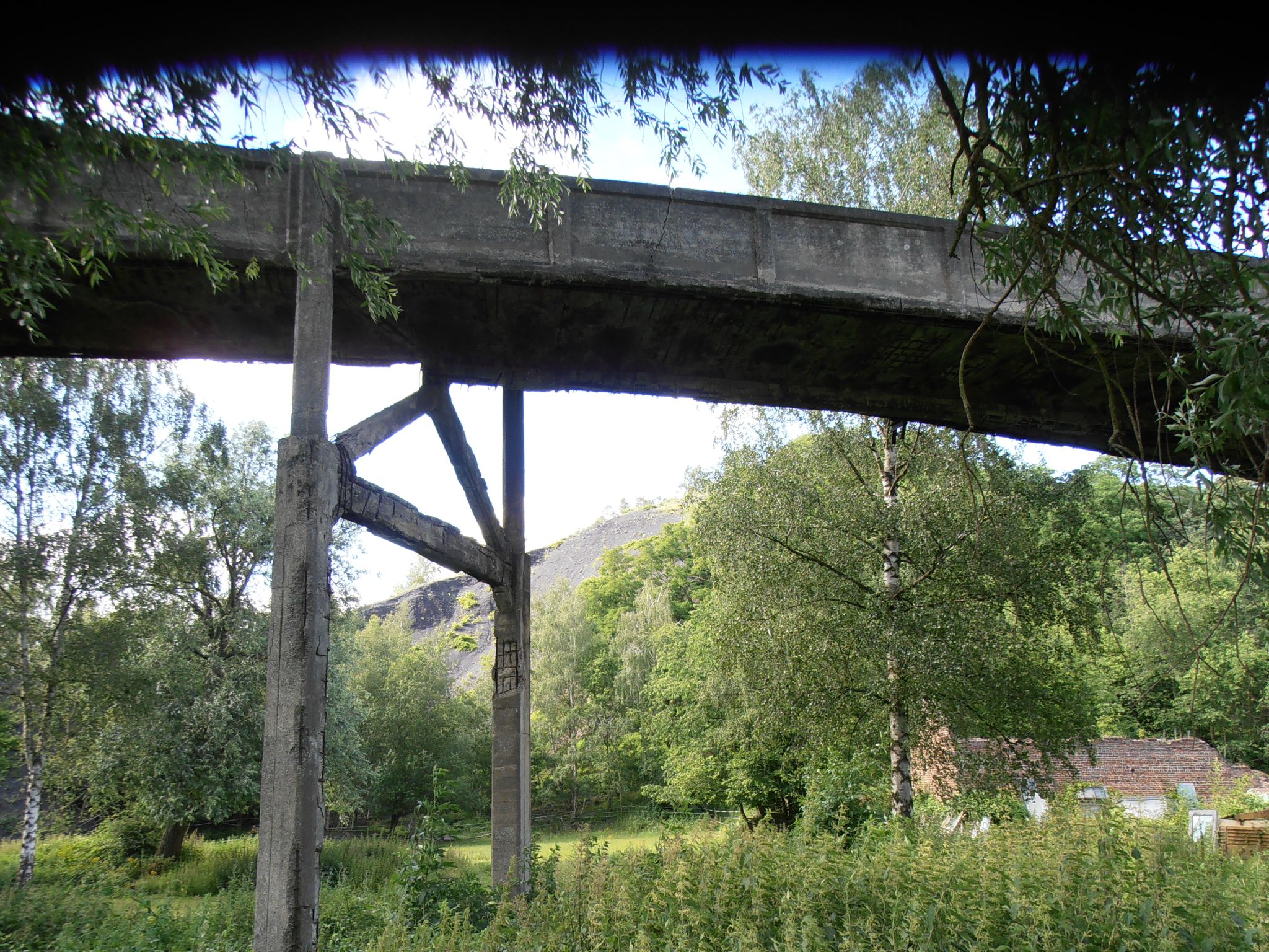 Marcasse - Passerelle 20120702_35