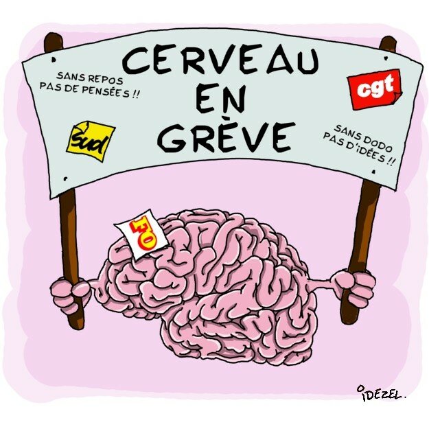 CERVEAU