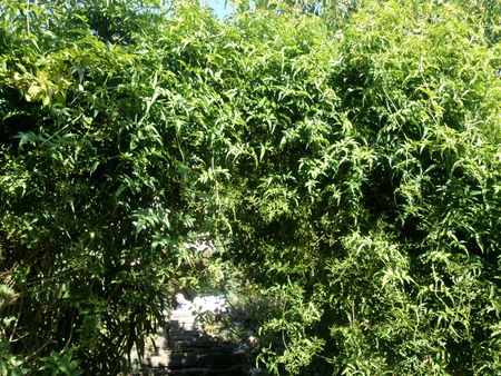 Photo0463