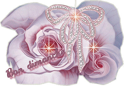 7 b Dim rose roseBPat