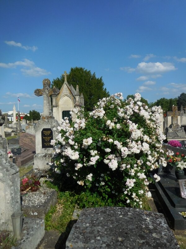 Tombe fleurie