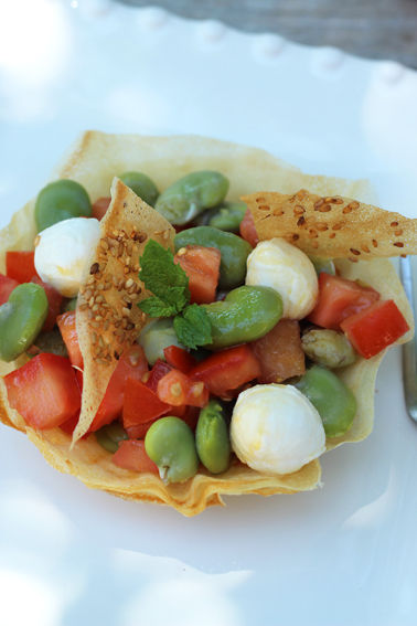 tartelettes_brick_f_ves_tomates1