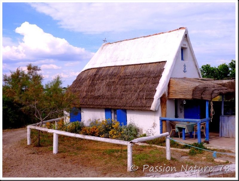 La Camargue