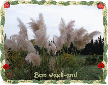 Bon_week_end_fleur_de_la_pampa
