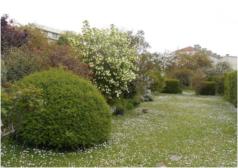 jardin 1