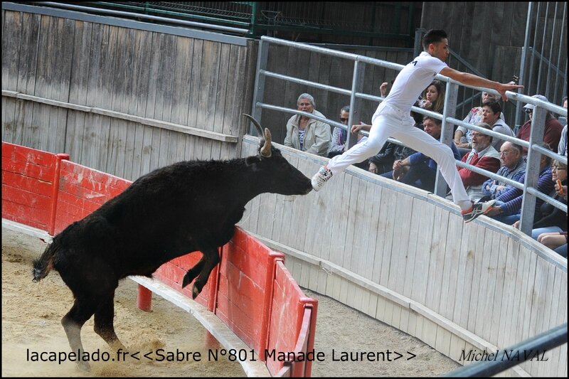 ST Laurent D Aigouze le17 04 2016 LAURENT-56