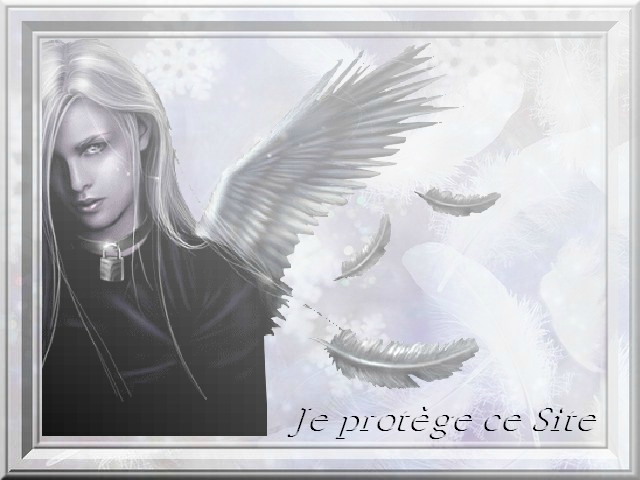 ange noir protecteur