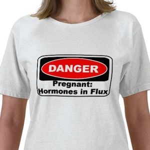 krw_danger_pregnancy_hormones_funny_tshirt-p2355030670577873864pn5_400
