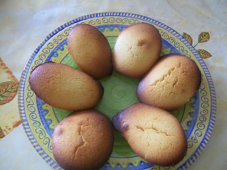 madeleines_citron_11_01_26__1_