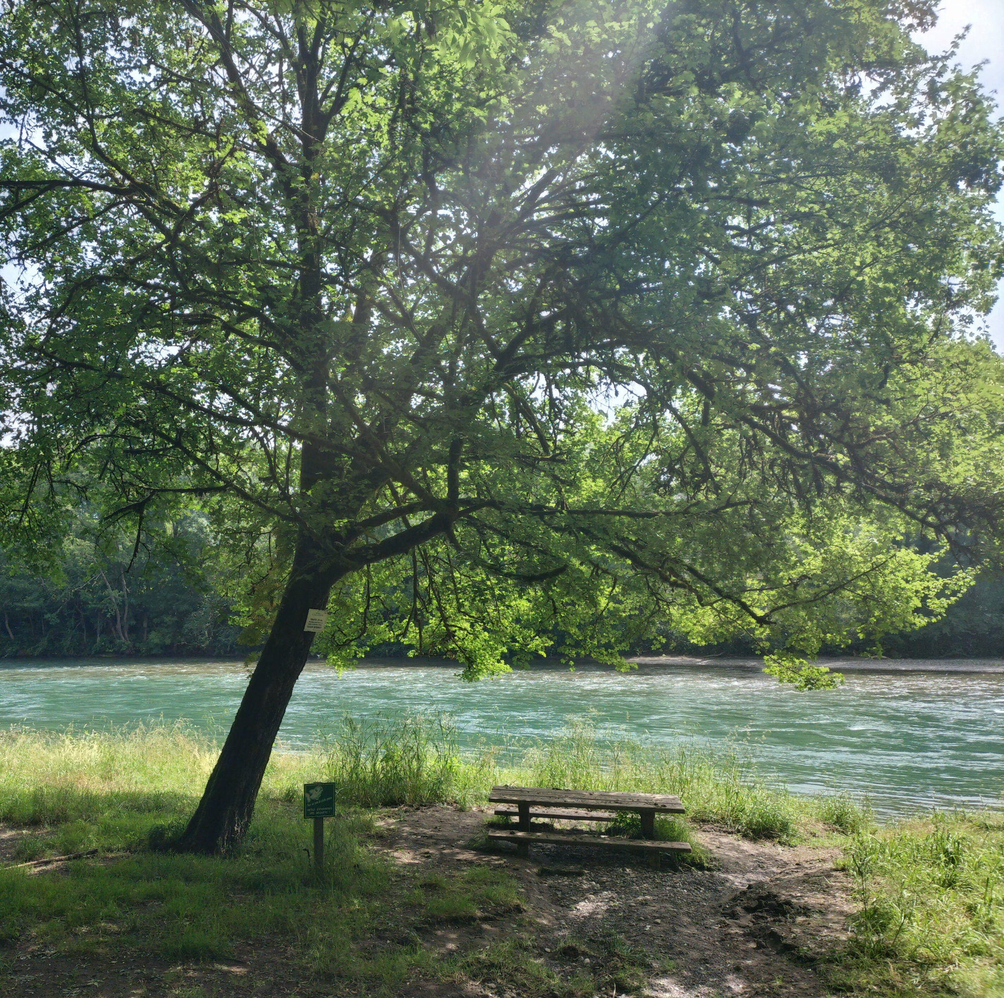 Viellenave-de-Navarrenx, gave, arbre et banc (64)