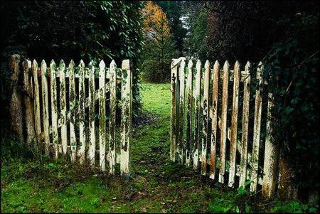 30_Gate