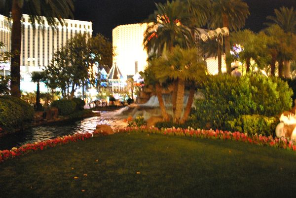 Las Vegas by night (435)