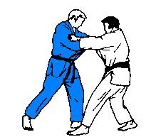 bleu blanc judo