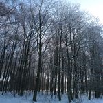 Ma_maison_divers22
