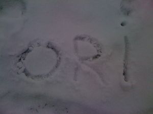 Photo_024