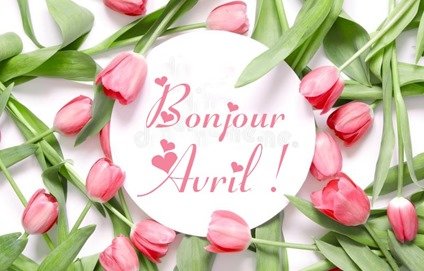 inscription-bonjour-mai-fleur-de-tulipe-fond-source-image-145215999