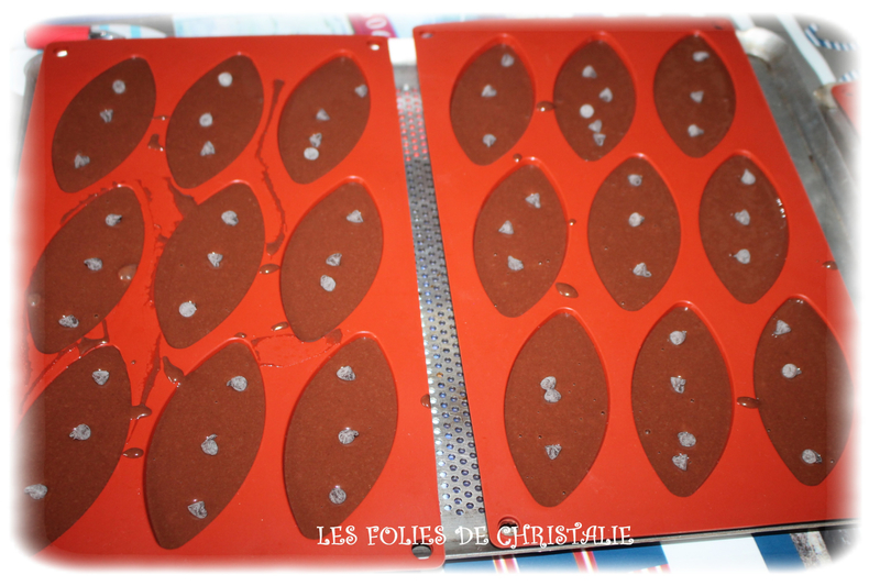 Barquettes 2 chocolats 7