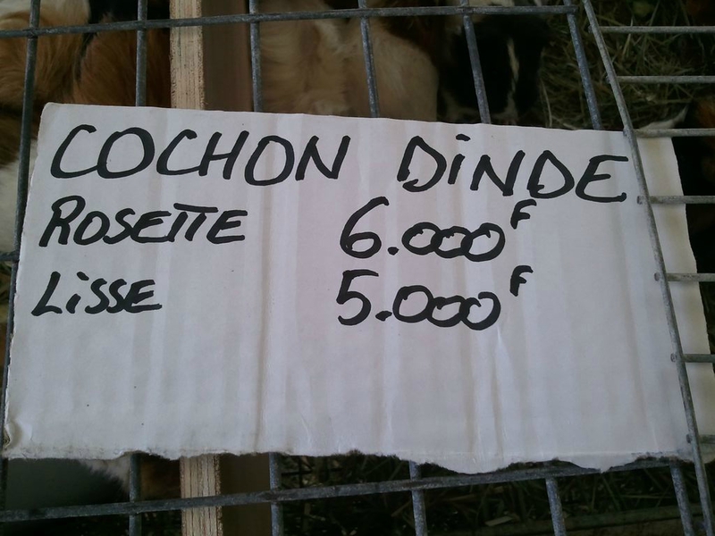 Cochon dinde (3)