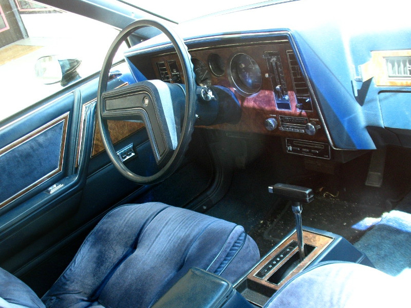 BuickSkylark1982int