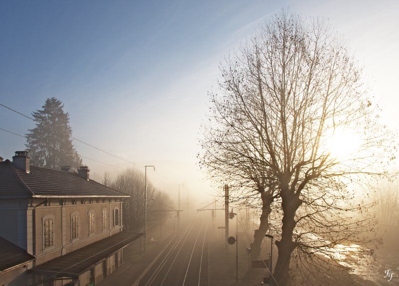 a2011_01_15_gare_ds_brume_matinale