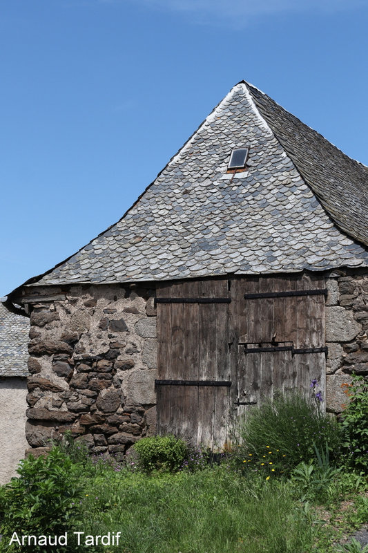 00429 Aubrac Juin 2023 - Aveyron - Alpuech