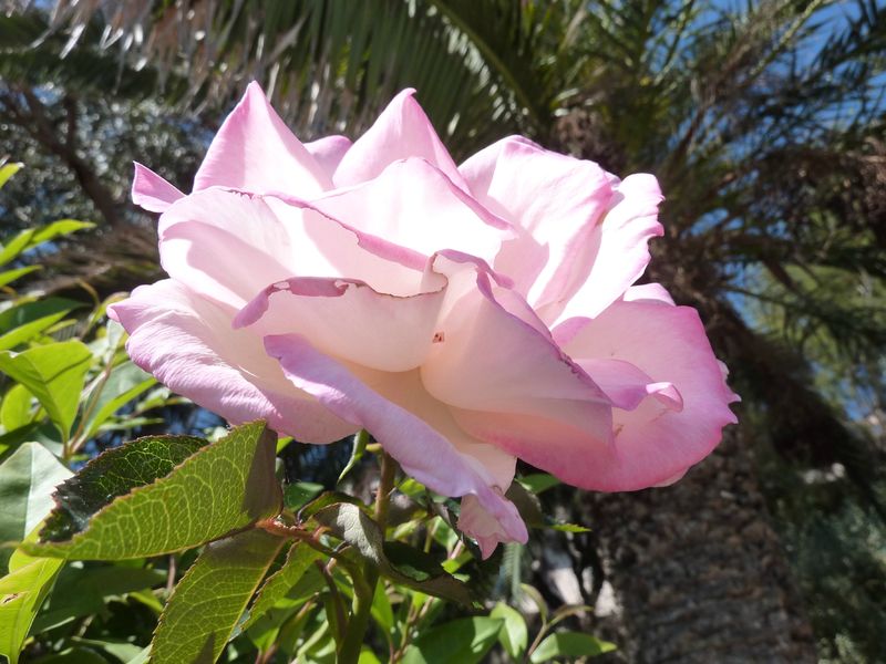 P1050734