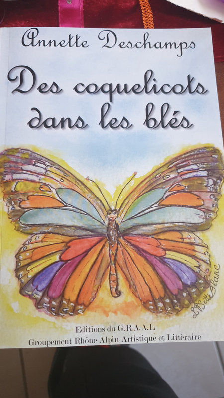 20230419_174300 papillon Deschamps