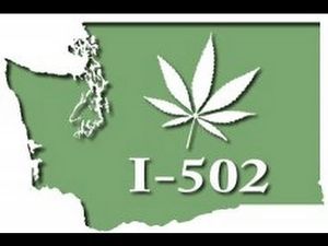 Cannabis I 502 campaign for legalisation in the state of Washington