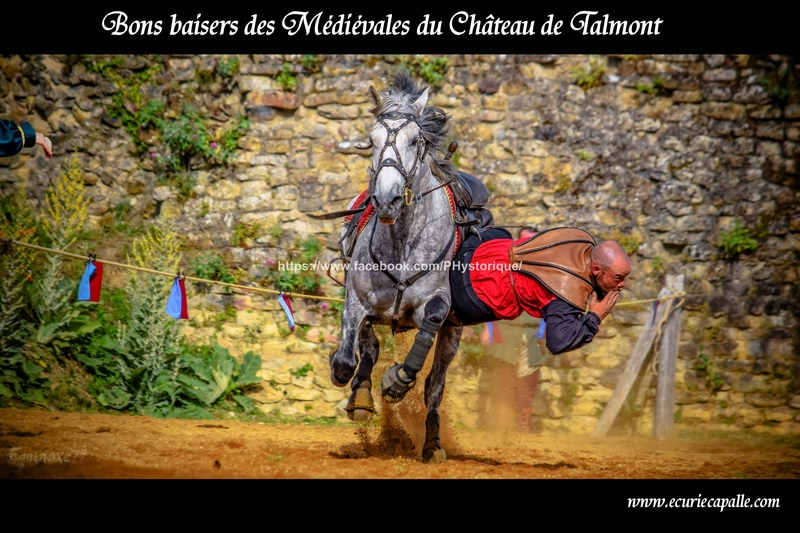 Voltige équestre Cie Capalle fête médiévale du Château de Talmont en Vendée (2)