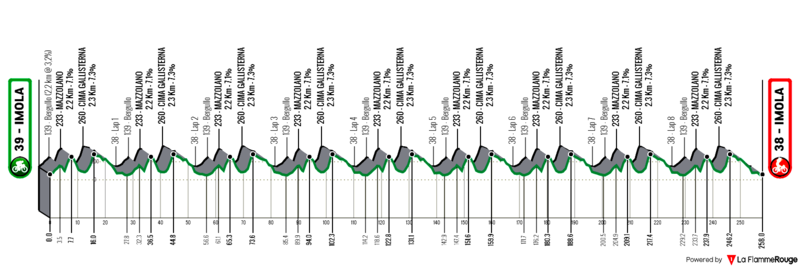 Cyclisme-Championnats-du-mond-2020-Le-profil-de-la-course-en-ligne-hommes