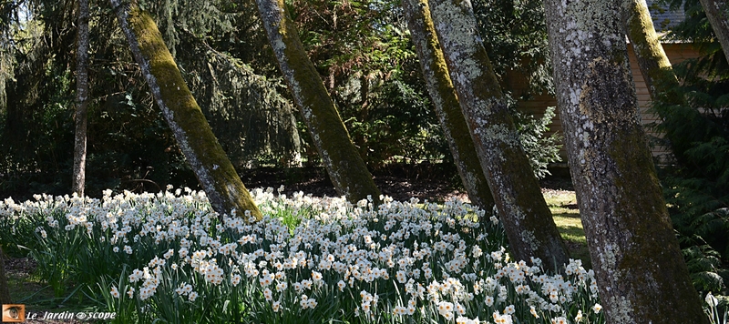 Parc-Floral-12