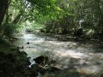 Sentier de l'Auze, rivière de l'Auze 7 (15)