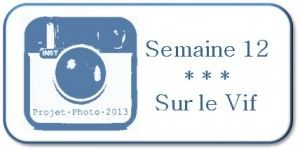 Sem-12_Sur-le-vif-300x151